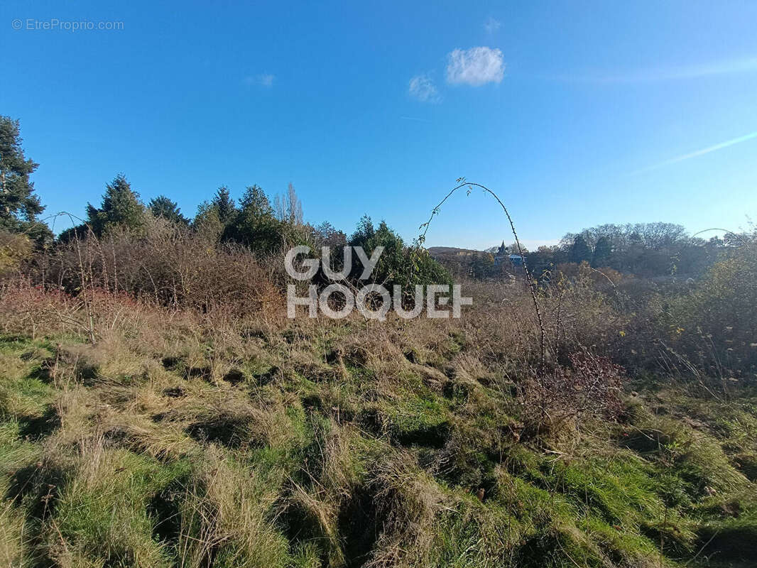 Terrain à SAULNIERES