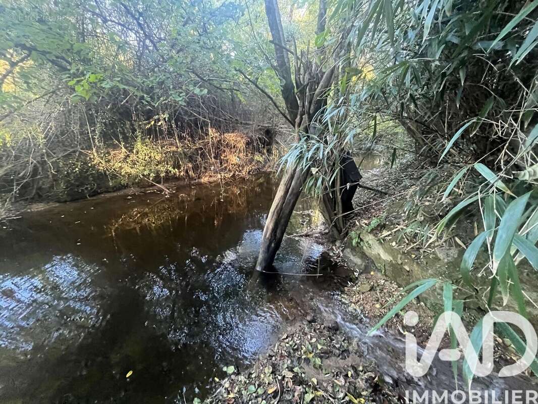 Photo 9 - Maison à LANGOIRAN