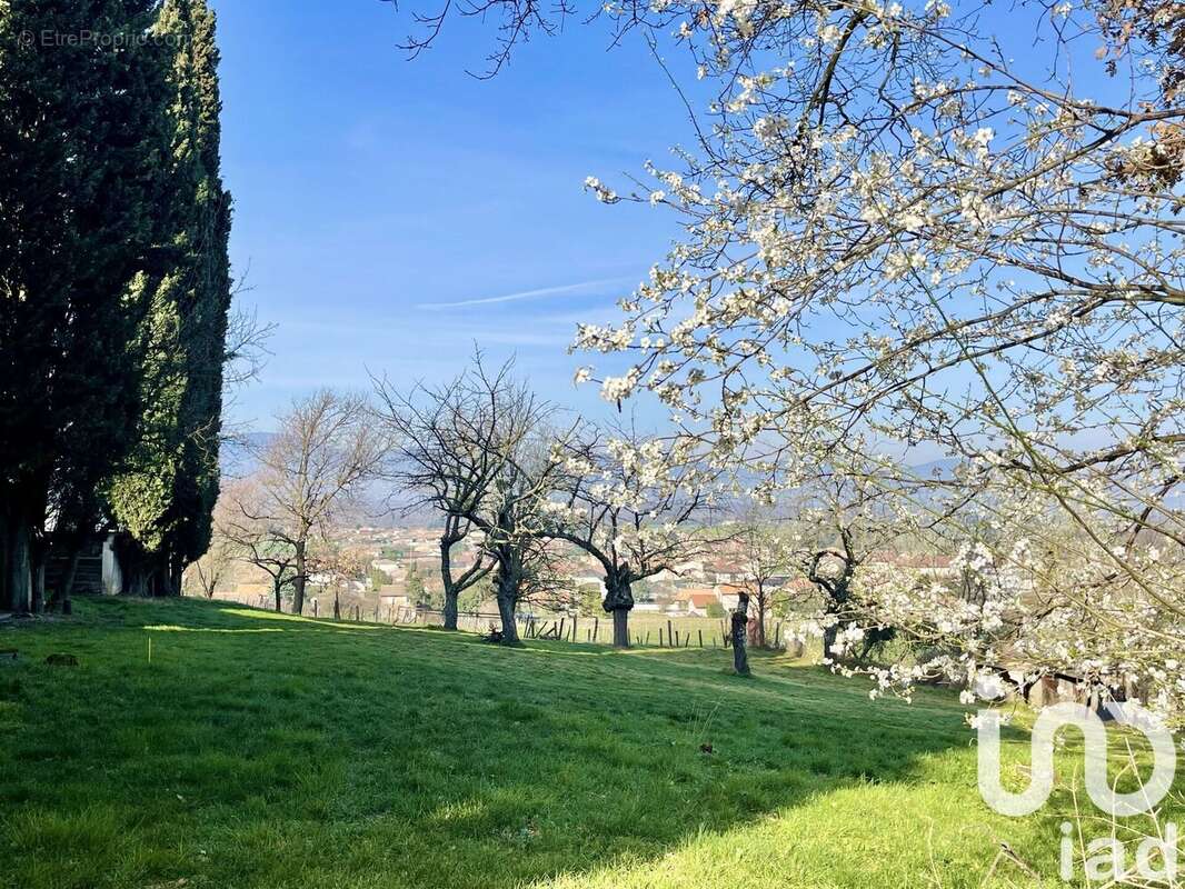 Photo 2 - Terrain à ASSIEU