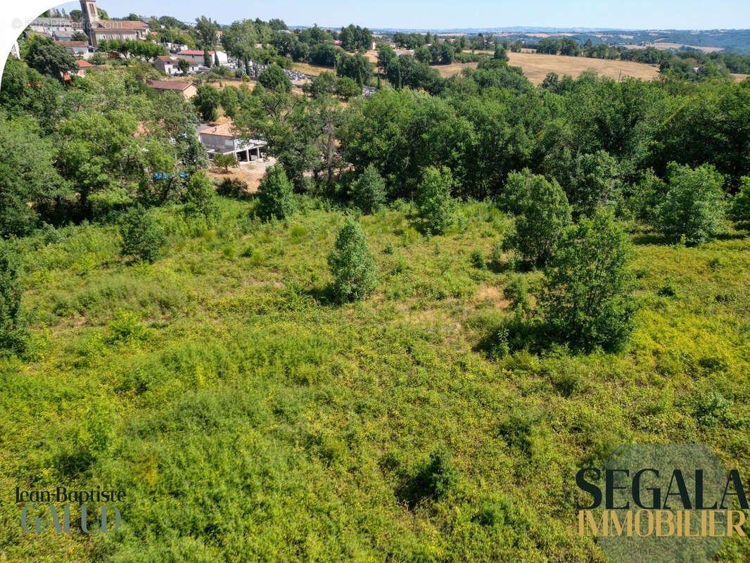 Terrain constructible de 4 526 m2 à Mirandol-Bourgnounac - photo 14