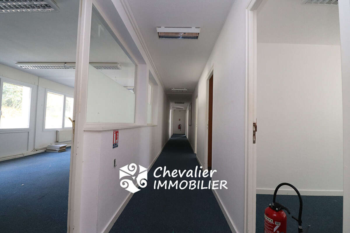 Commerce à SAINT-NOLFF