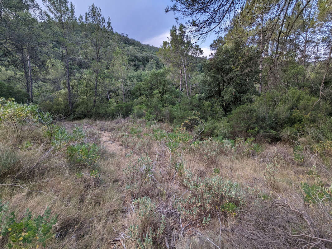 Terrain à LE LUC