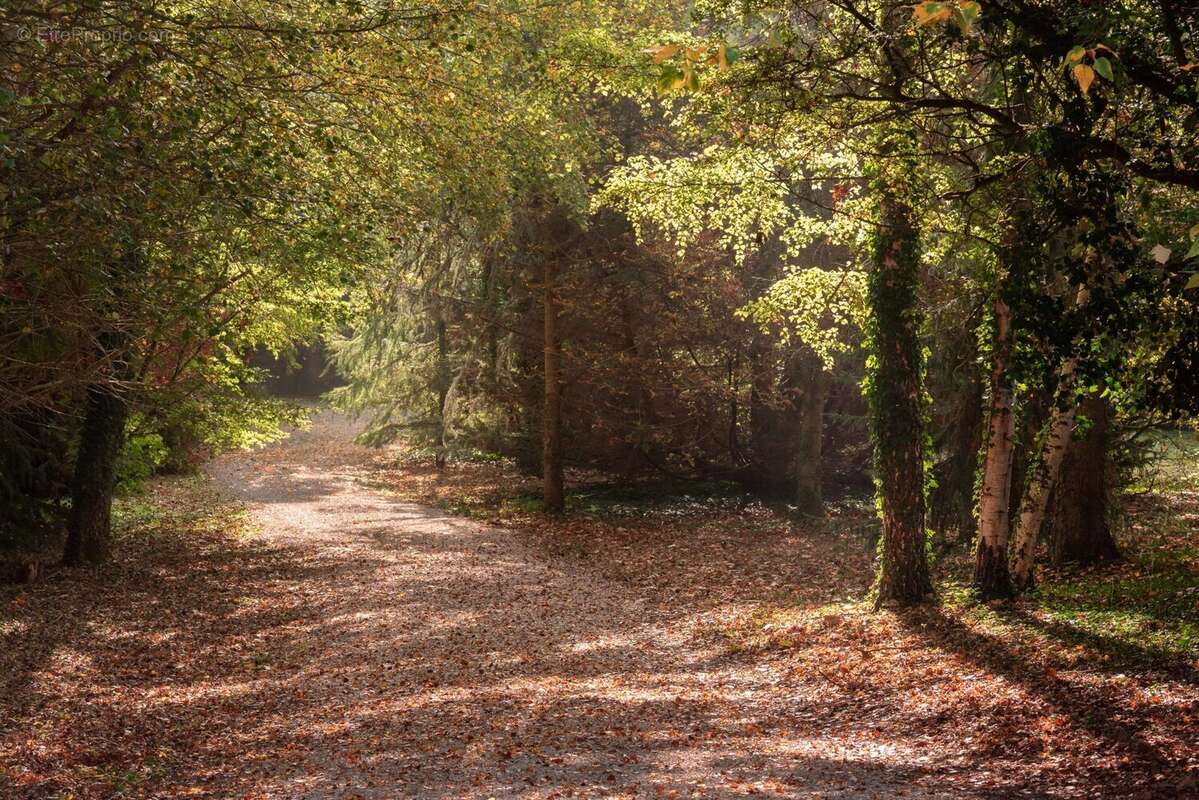 Maison à SAINT-PAUL