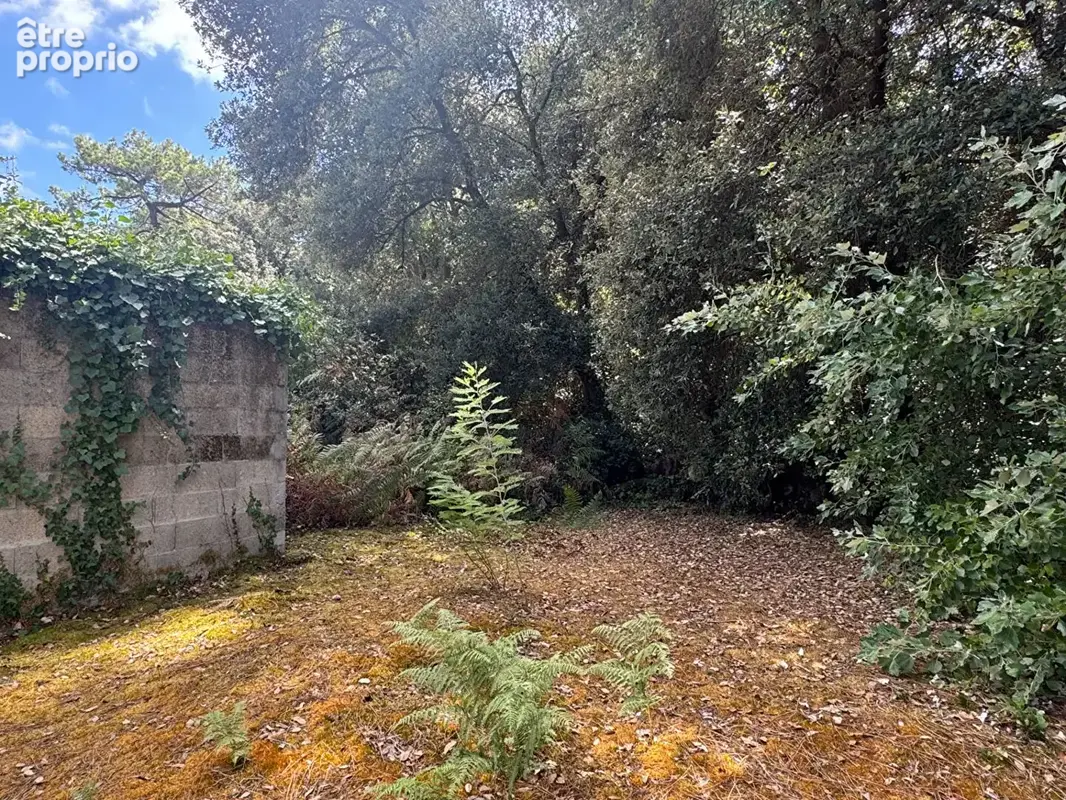 Maison Rivedoux Plage 3 pièce(s) 51 m2 - photo 5