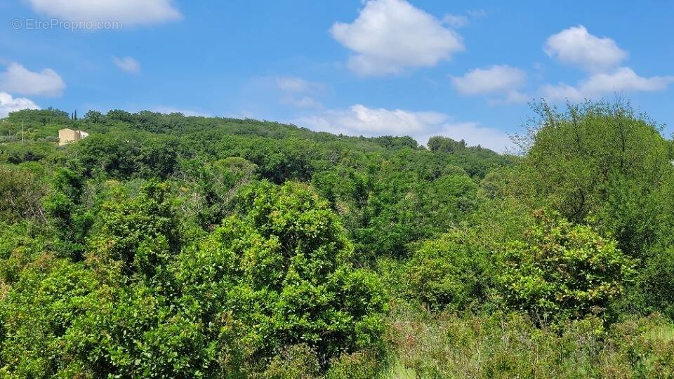 Terrain à BOURG-SAINT-ANDEOL