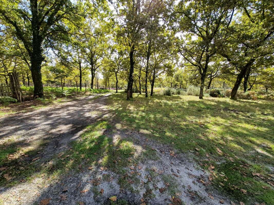 Photo-2024/100309-1-3 - Maison à ONESSE-ET-LAHARIE