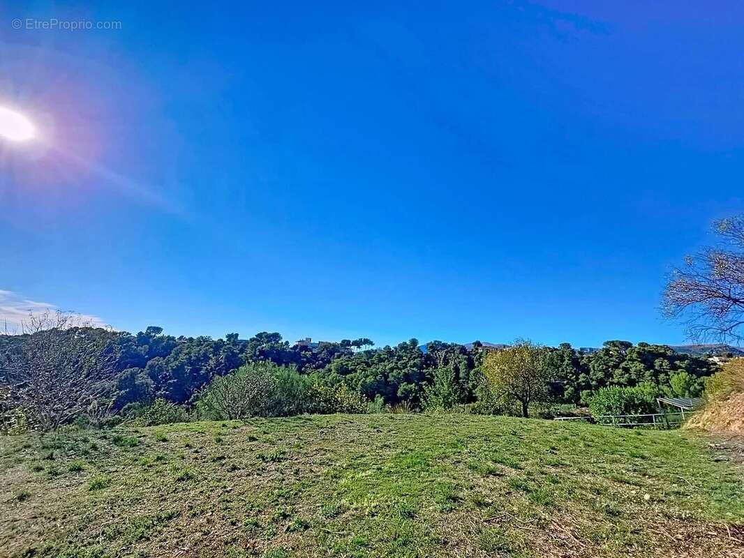 Terrain à SAINT-LAURENT-DU-VAR