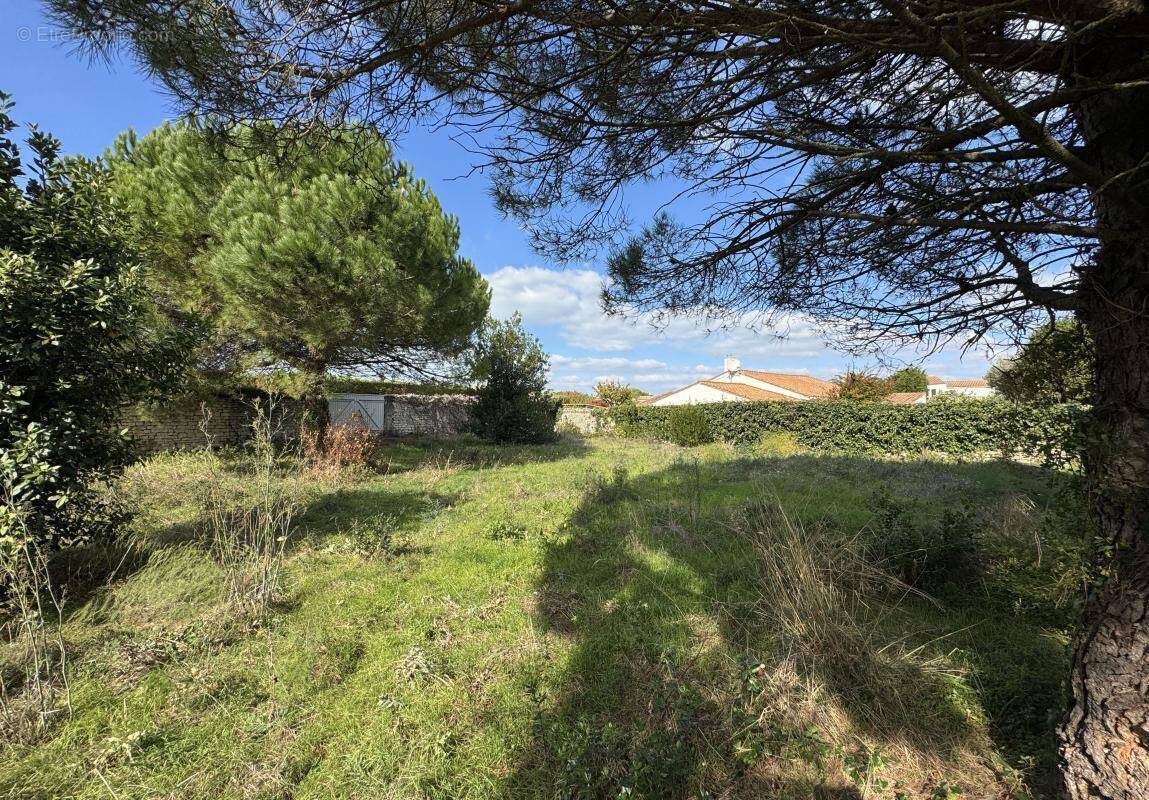 Terrain à LA FLOTTE