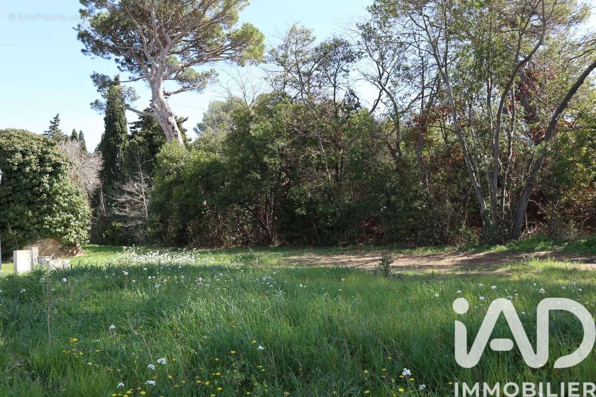 Photo 5 - Terrain à ESCALES