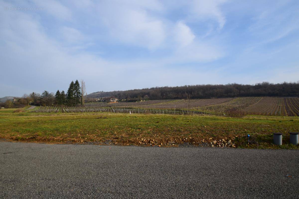 Terrain à BERZE-LA-VILLE