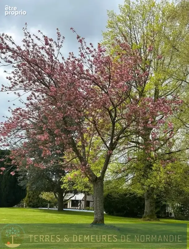 Bel Ensemble Normand édifié sur parc arboré et paysagé proche des commodités - Lieurey (27560) - photo 9