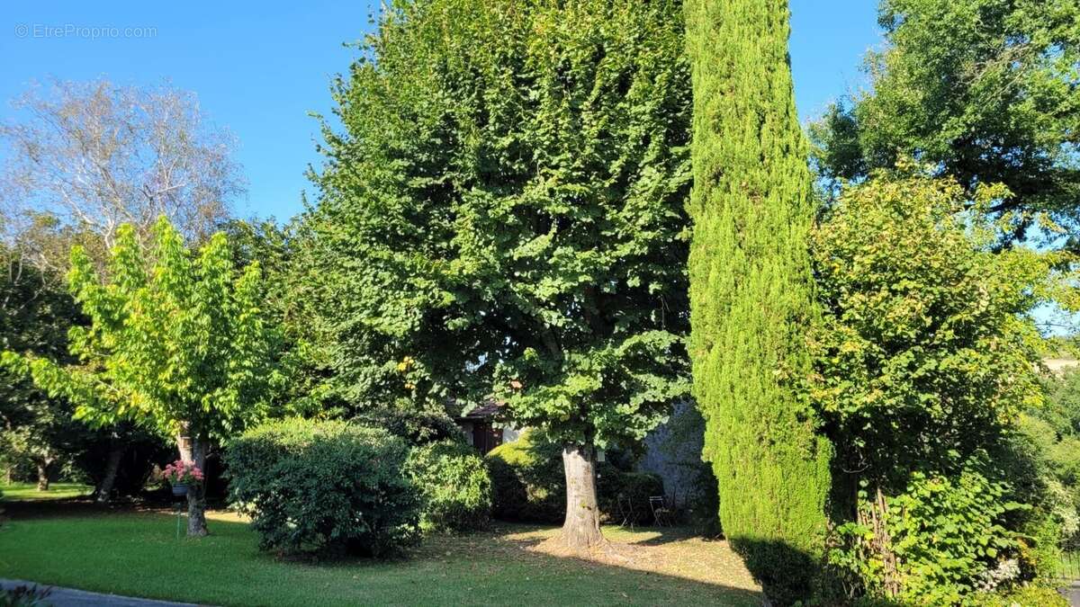 Belle demeure en pierres à Moirax - photo 6