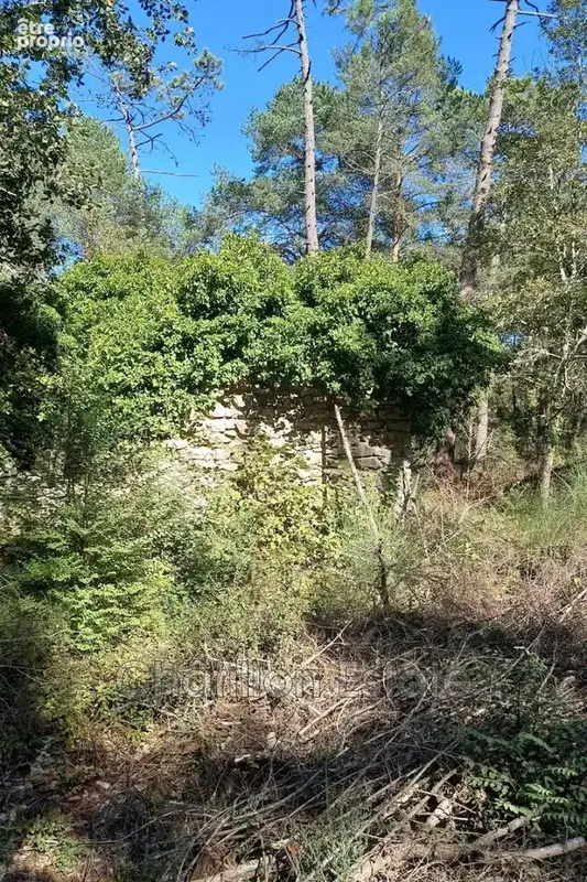 Terrain 4 035 m² à vendre à Callian (83440) - photo 9