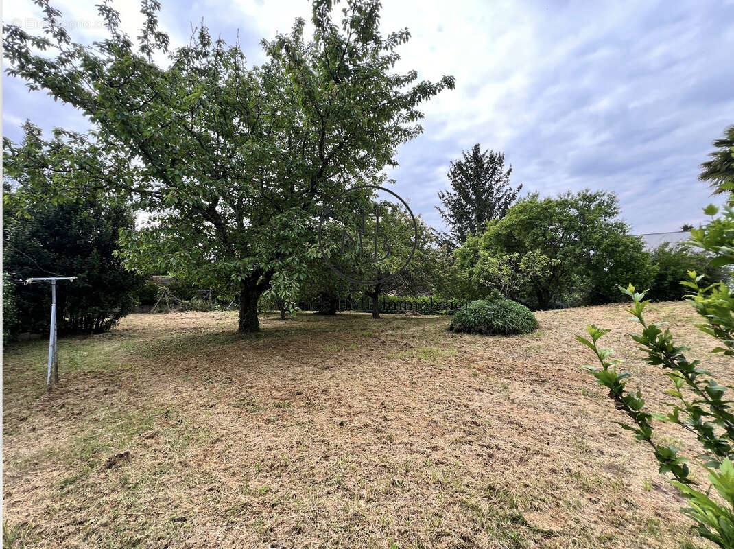 Terrain à COLLONGES-AU-MONT-D&#039;OR