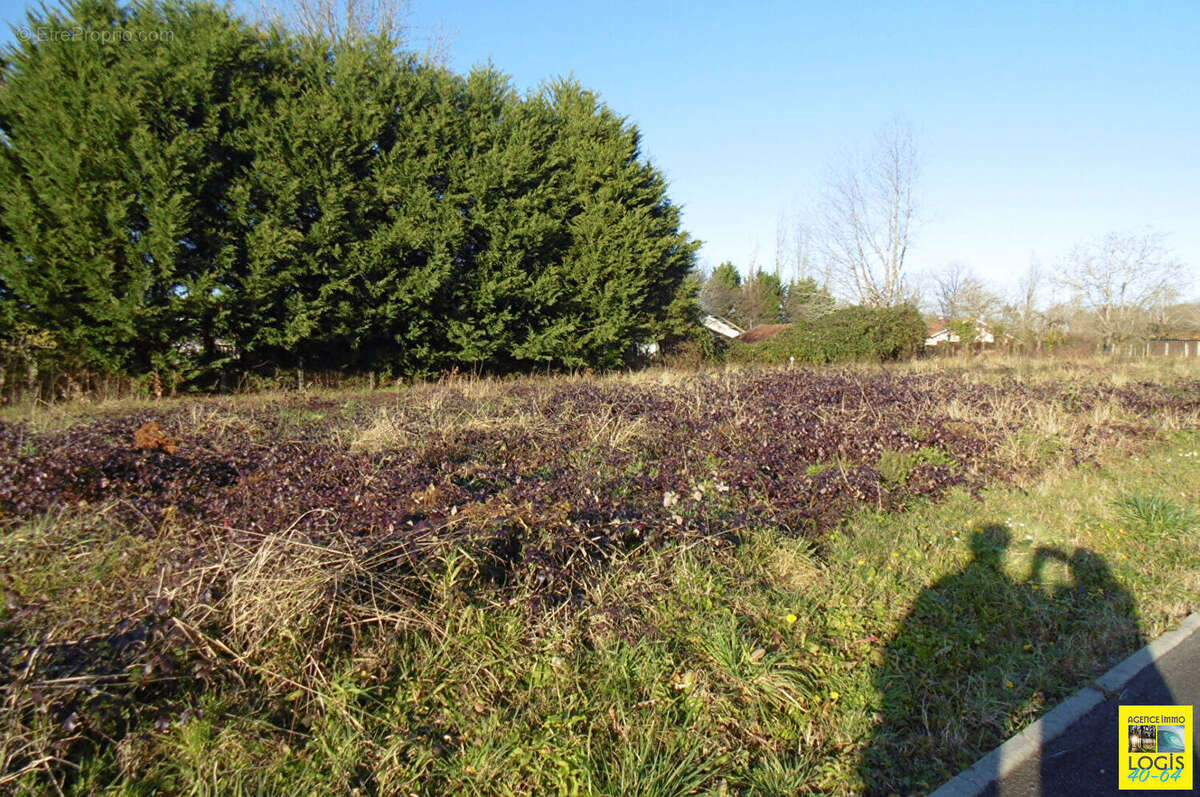 Terrain à OEYREGAVE