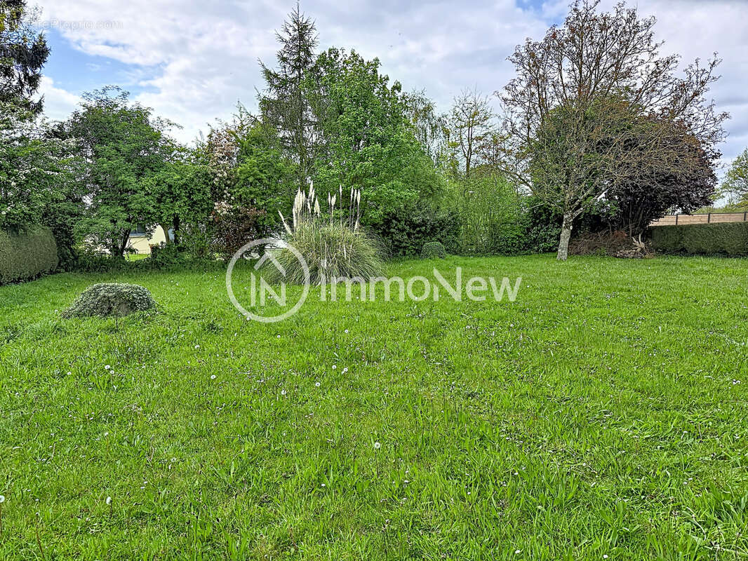 Maison - montviron - photo 15