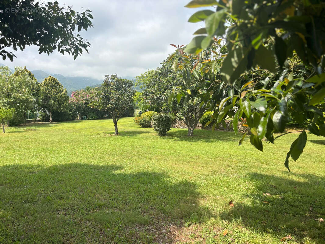 Maison à SANTA-LUCIA-DI-MORIANI