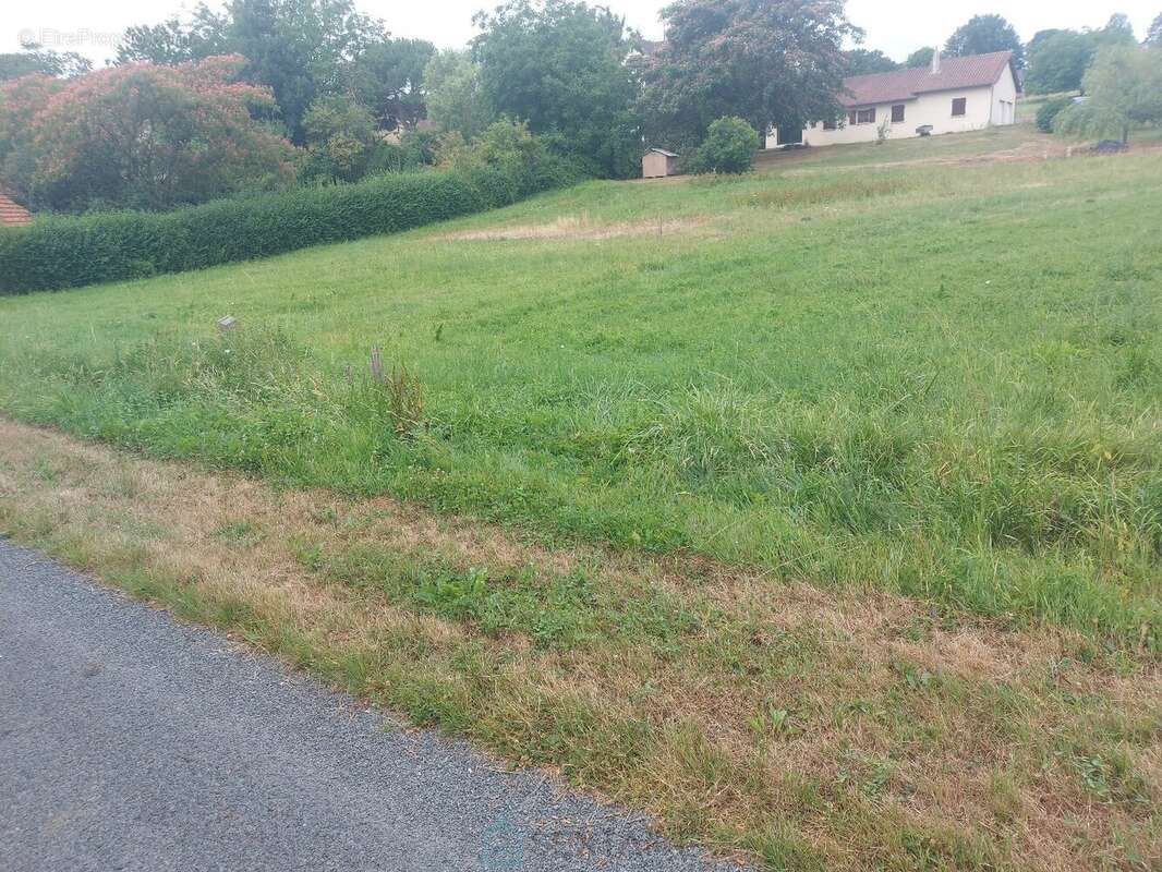 A saisir - Terrain consutructible en Dordogne - - photo 3