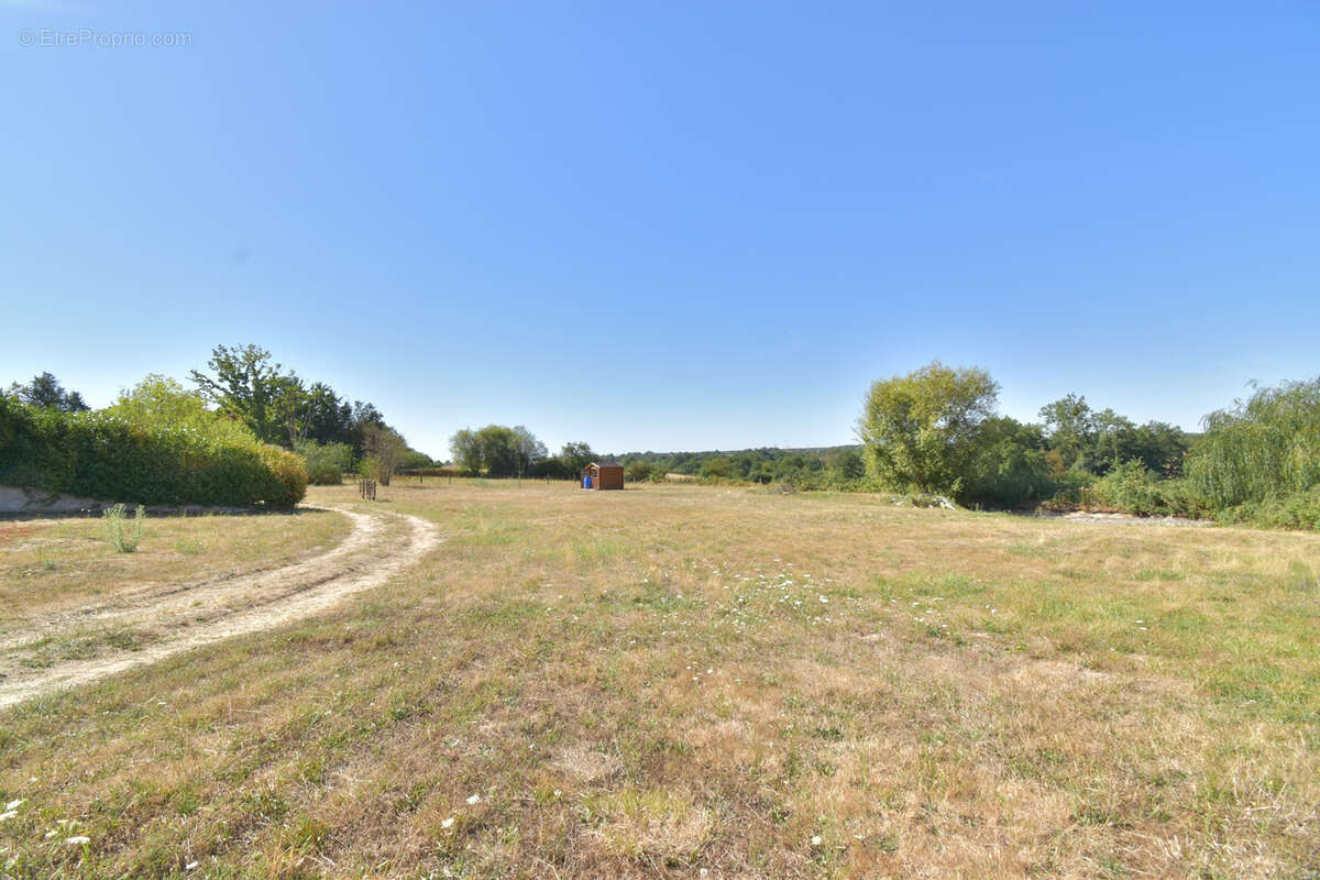 EN EXCLUSIVITÉ   Maison à 10 min de Moulins sur 5 000 m2 de terrain - photo 4