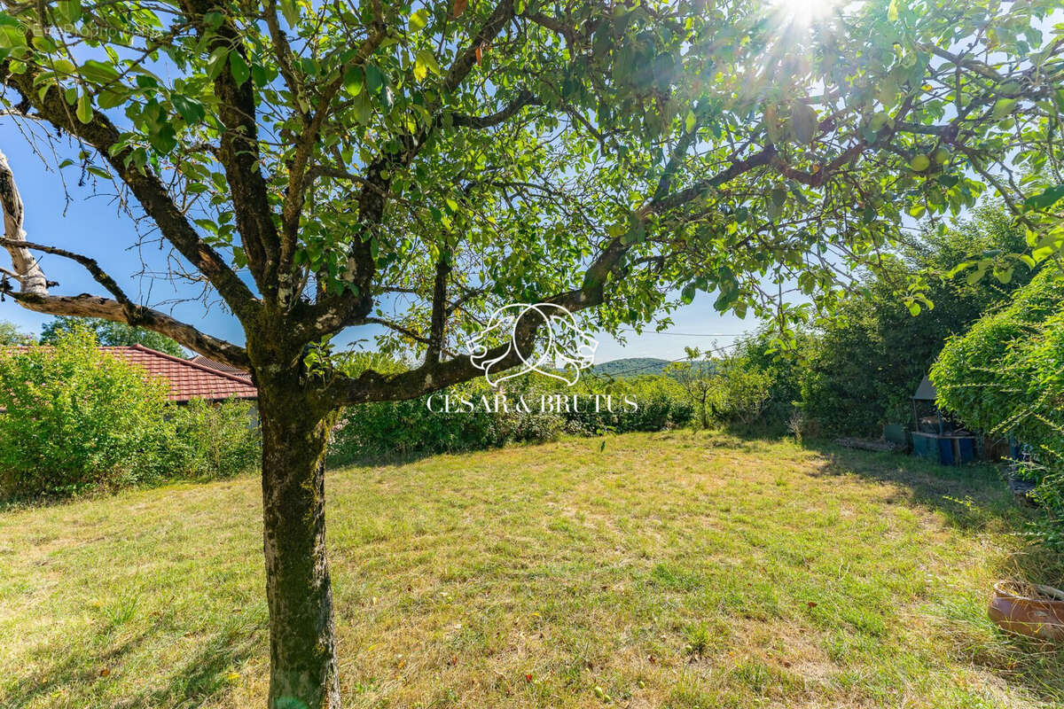 Maison à BOUVESSE-QUIRIEU