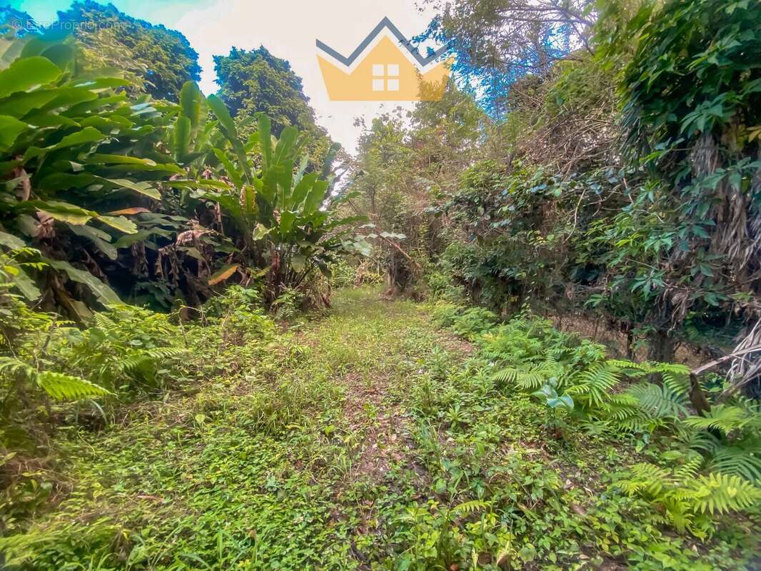 Terrain à PETIT-BOURG