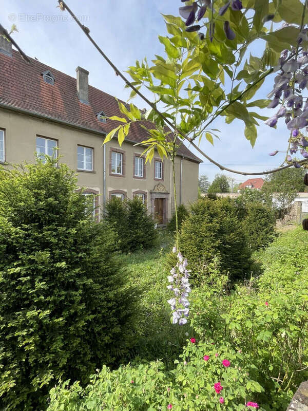 Maison à PUTTELANGE-AUX-LACS