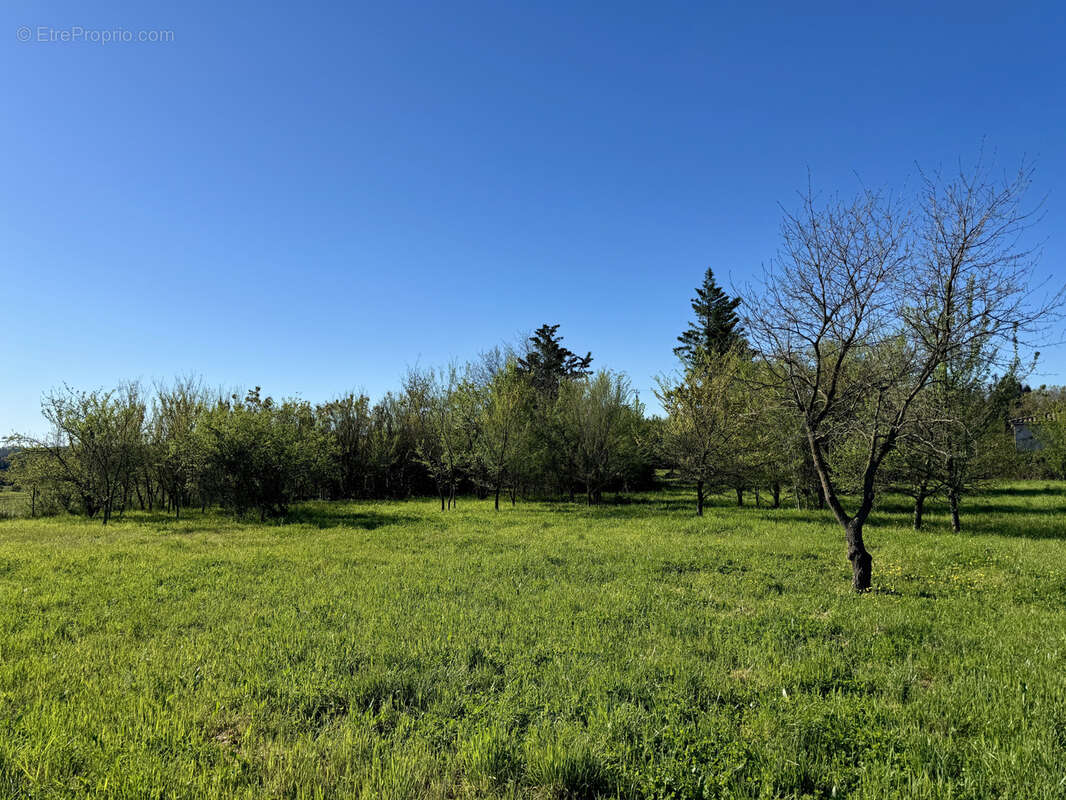 Terrain à LA BRUGUIERE