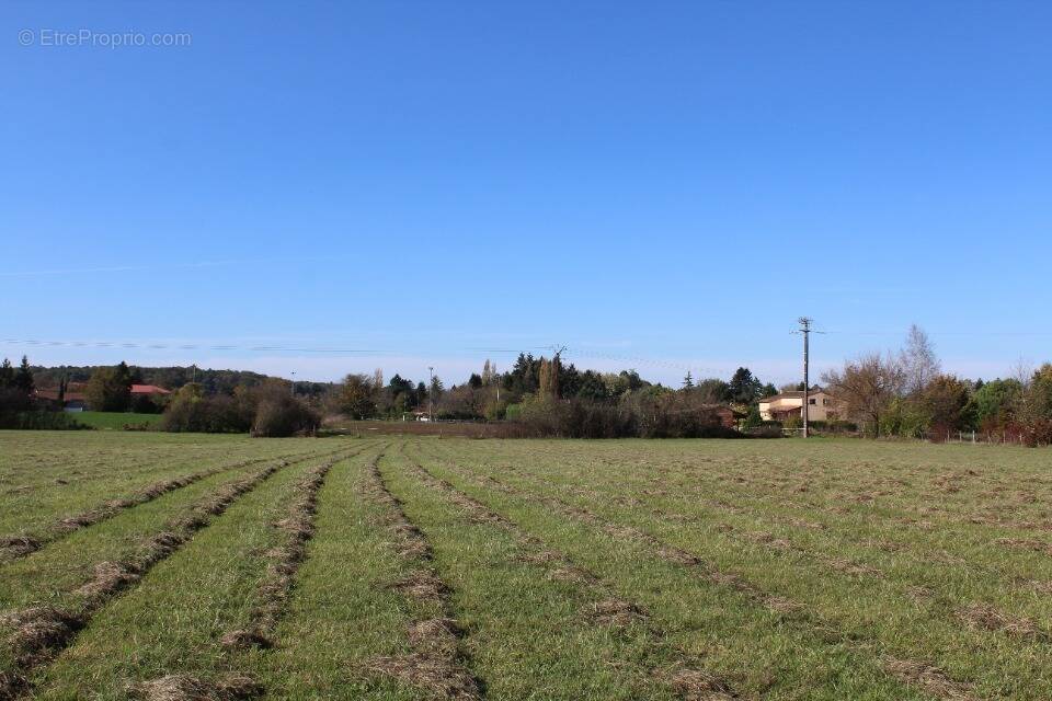 Terrain à MARSALES