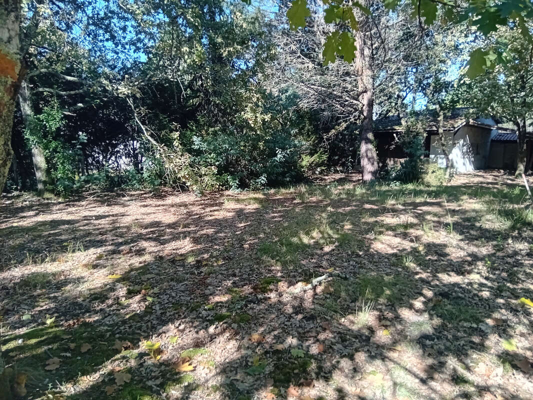 Terrain à ANDERNOS-LES-BAINS