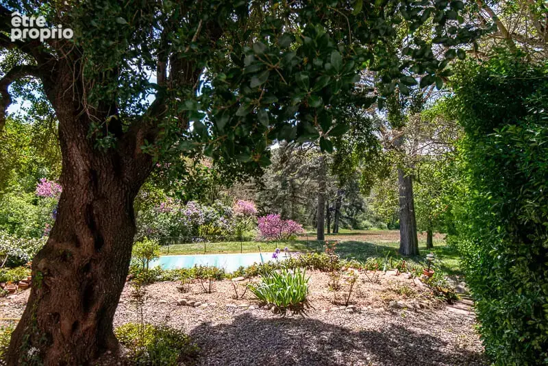 CHATEAU de famille du 17e siècle en très bon état à vendre à GIBEL - photo 31