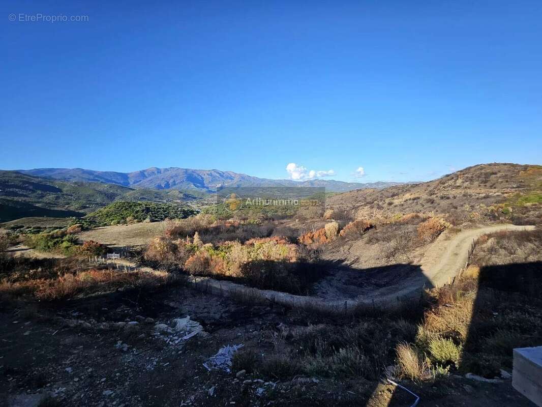 Appartement à OLMETA-DI-TUDA