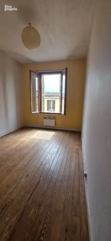 Maison avec jardin  Centre-ville de L'Isle-Saint-Georges - photo 4