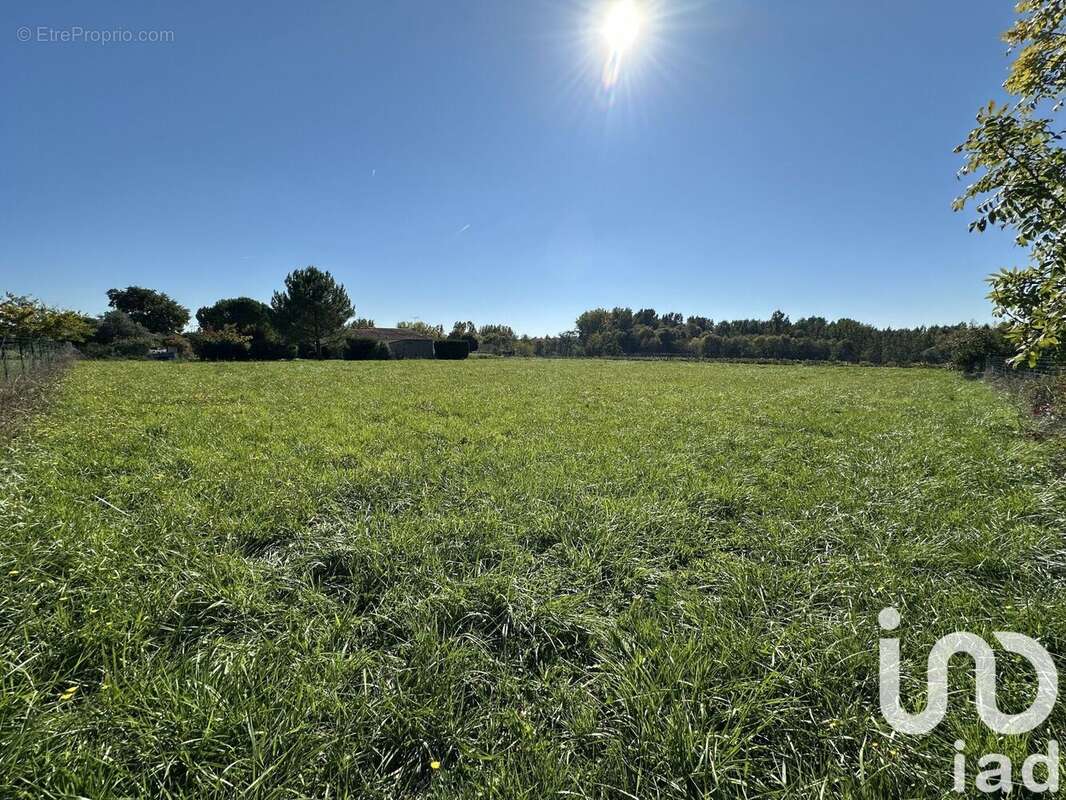 Terrain 2614 m² à Bassac  - photo 4