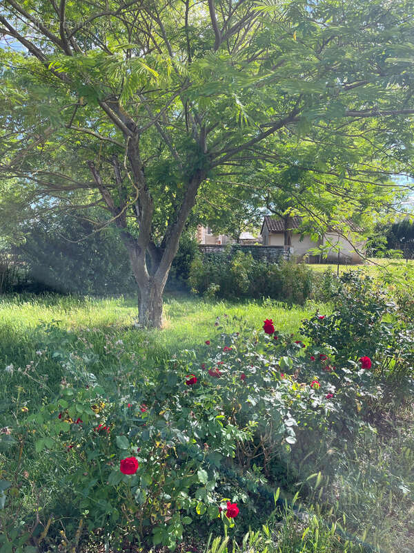 Charmante Maison de campagne habitable de suite avec jardin et dépendances - photo 15