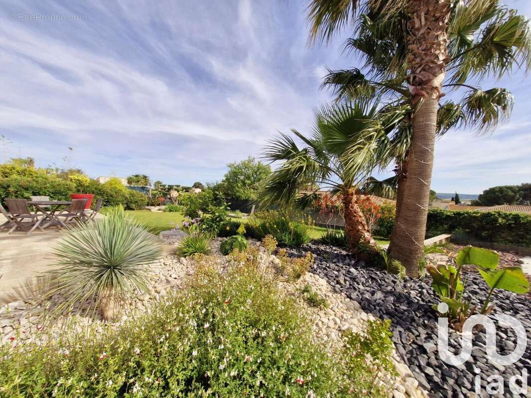 Photo 2 - Maison à LESPIGNAN