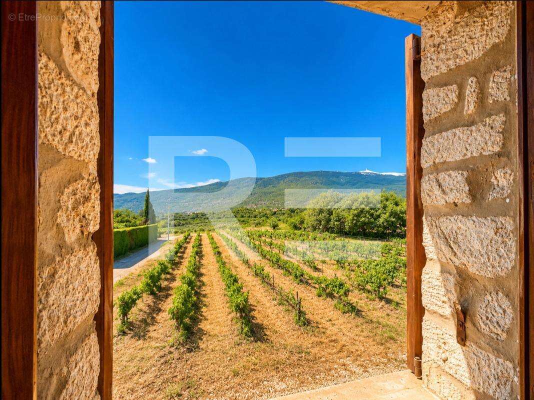 Authentique mas provençal de 1868 au pied du Mont Ventoux - photo 3