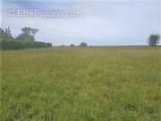 Terrain à BAR-SUR-AUBE