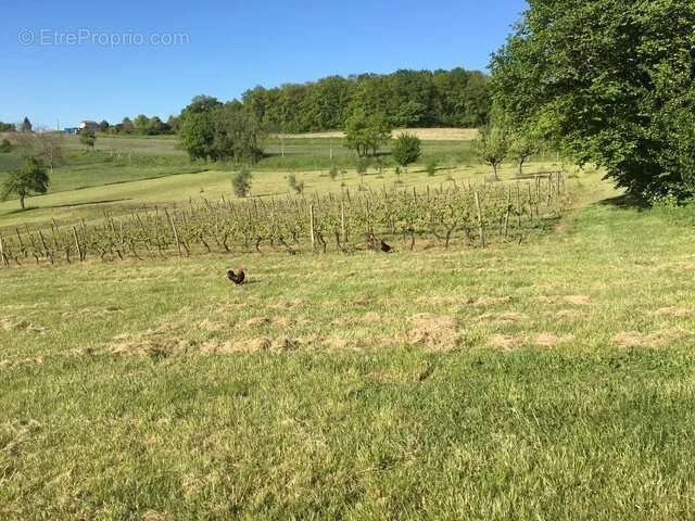 Maison à SAINT-SEVERIN