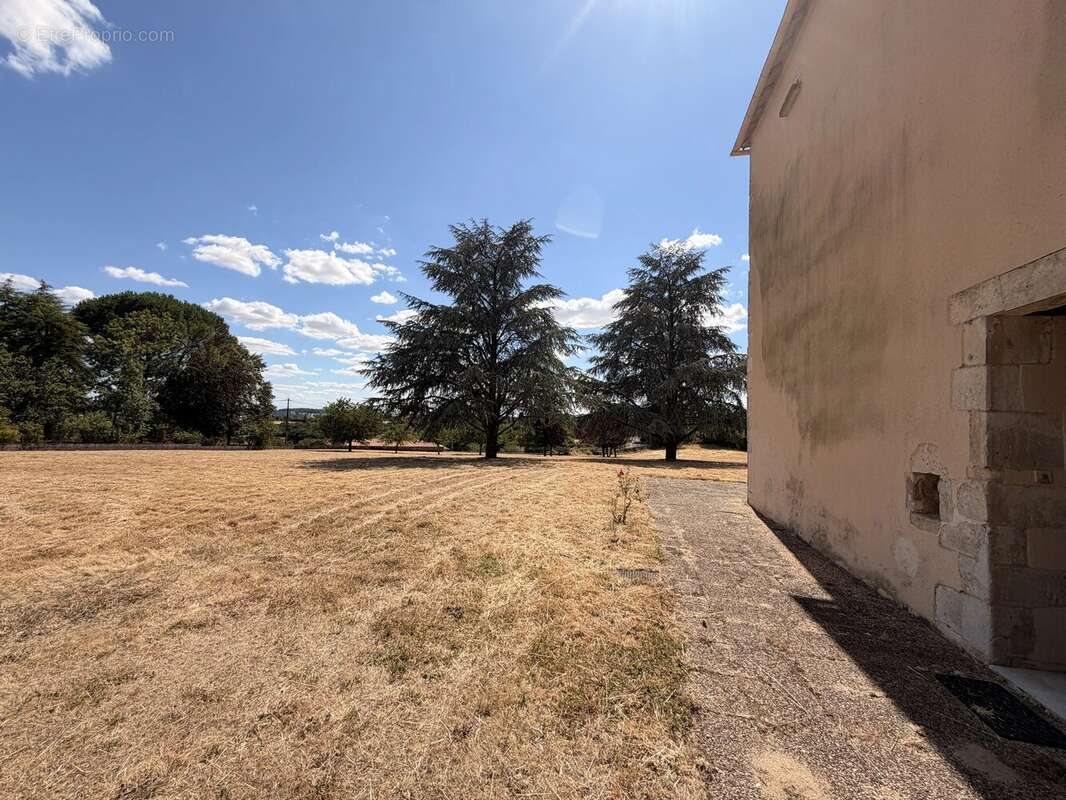 Charmante propriété de caractère avec plus de 2 hectares, grange, cave voûtée et dépendance aménageable à proximité de Ruffec - photo 18