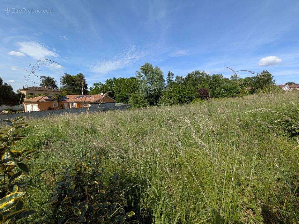 Terrain à ANTHON