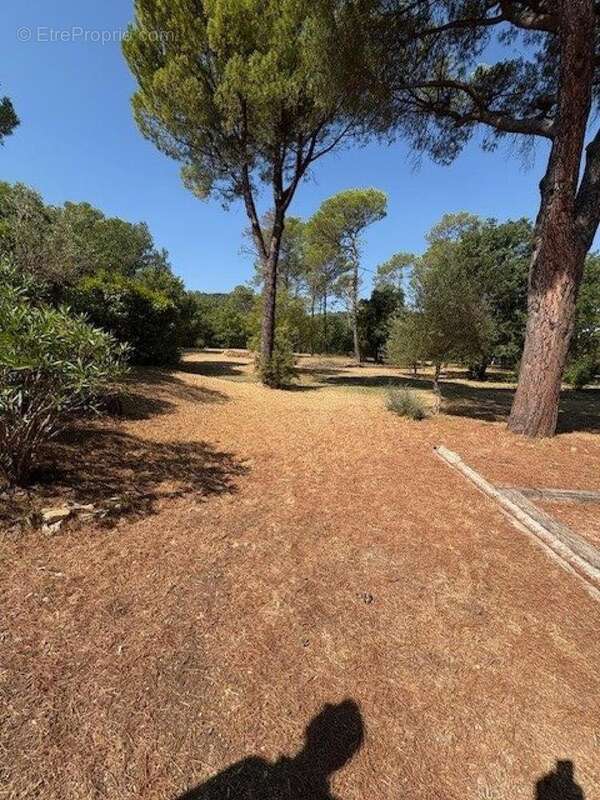 Photo 4 - Maison à BESSE-SUR-ISSOLE