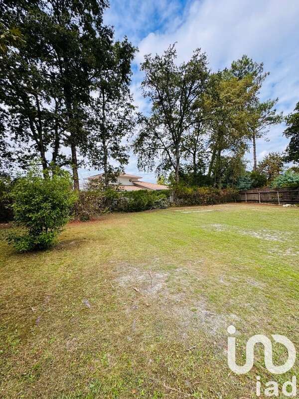 Photo 2 - Terrain à ANDERNOS-LES-BAINS