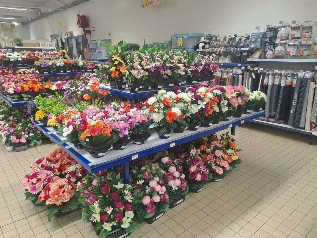 Autre à SAINTE-MAURE-DE-TOURAINE