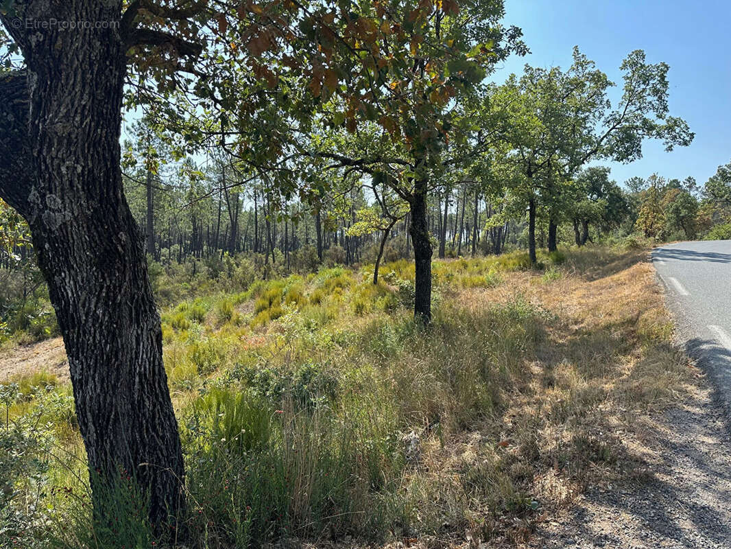 Terrain à TOURRETTES