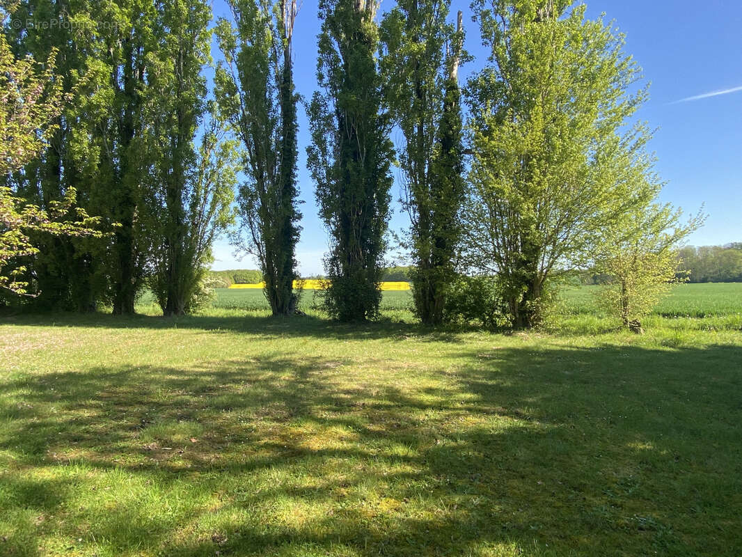 Saint-hilaire-les-andresis - photo 4
