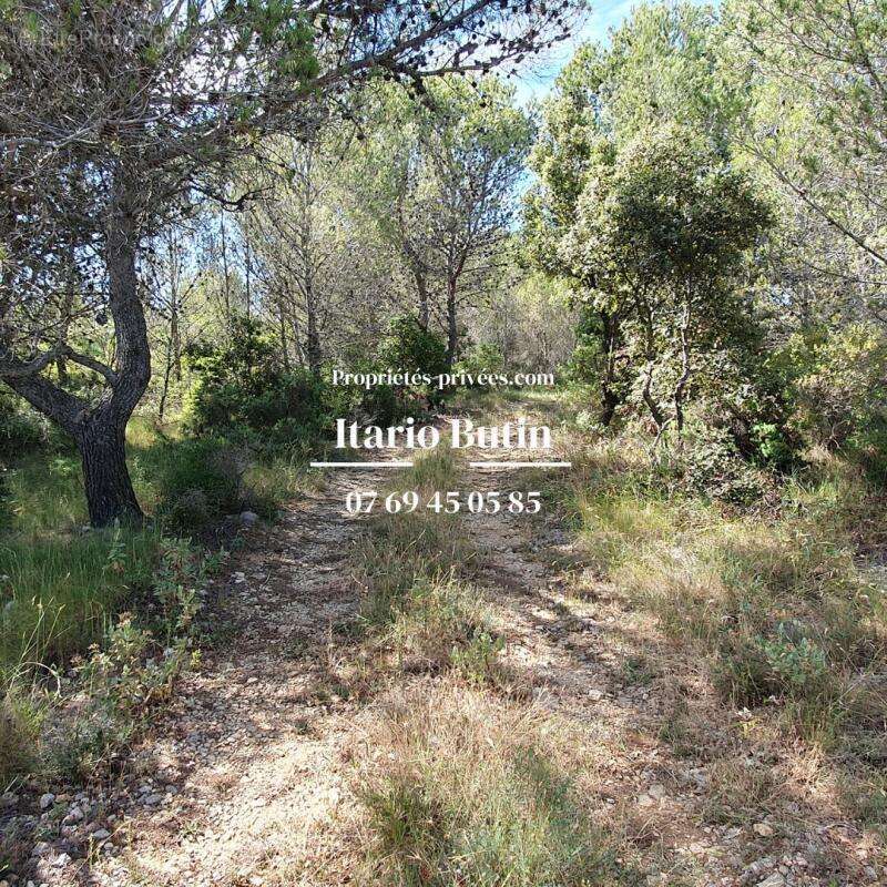 Terrain à CAPESTANG