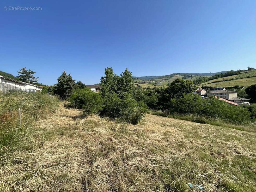 Terrain 645 m² à Beaujeu  - photo 6