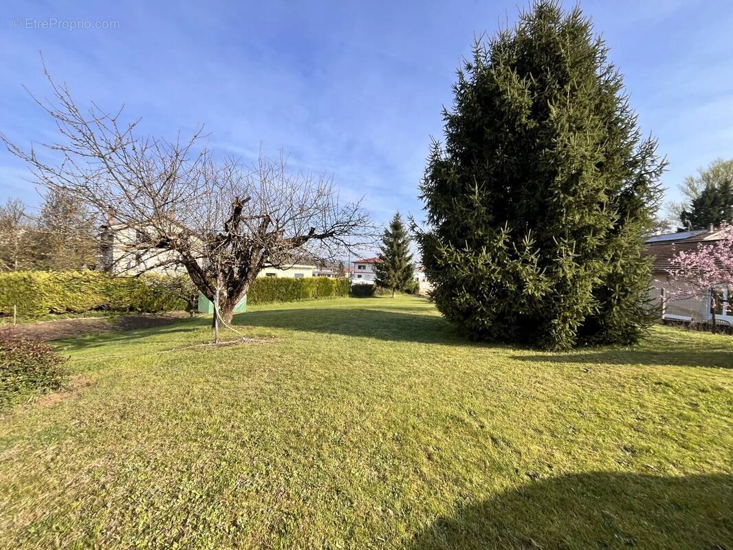 Terrain à SAINT-ROMANS