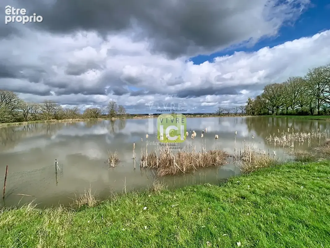 Etang La Romagne - photo 6
