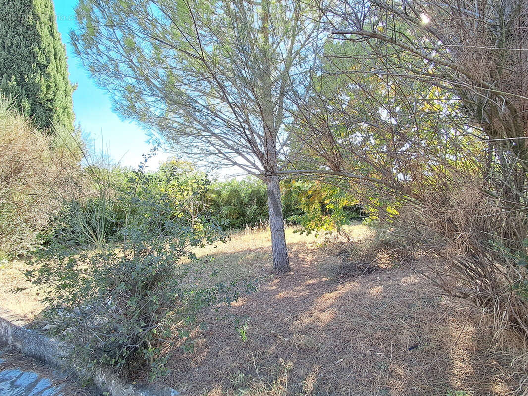 Terrain à AUJARGUES